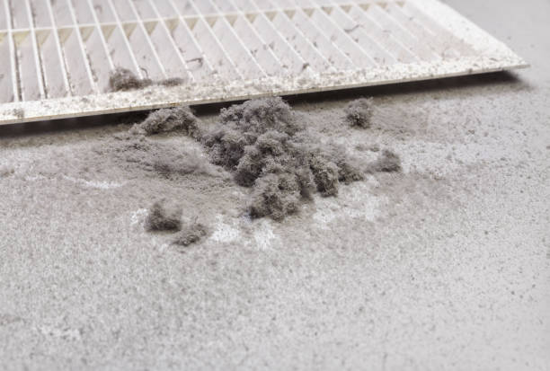 Best Air Vent Cleaning Services  in Perry, GA