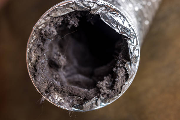 Best Commercial HVAC Duct Cleaning  in Perry, GA